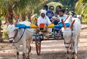 one day trip resorts near pune